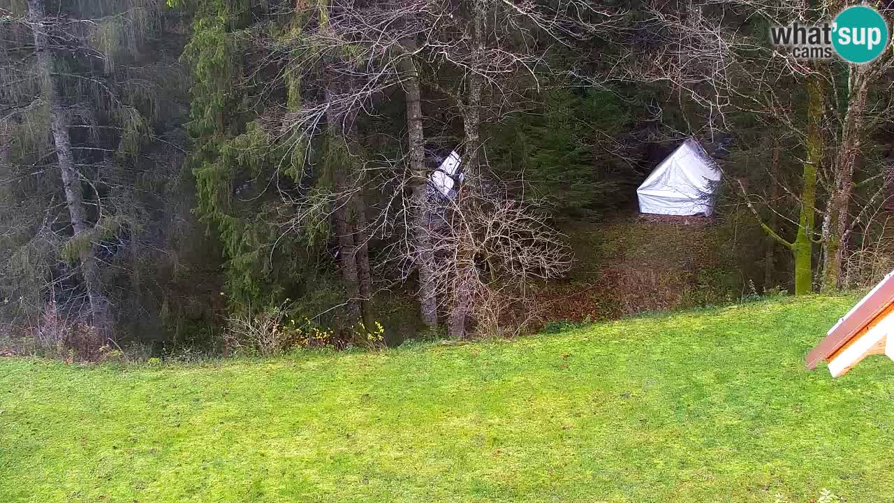 Webcam Lukanja – Water Village | Pohorje Houses