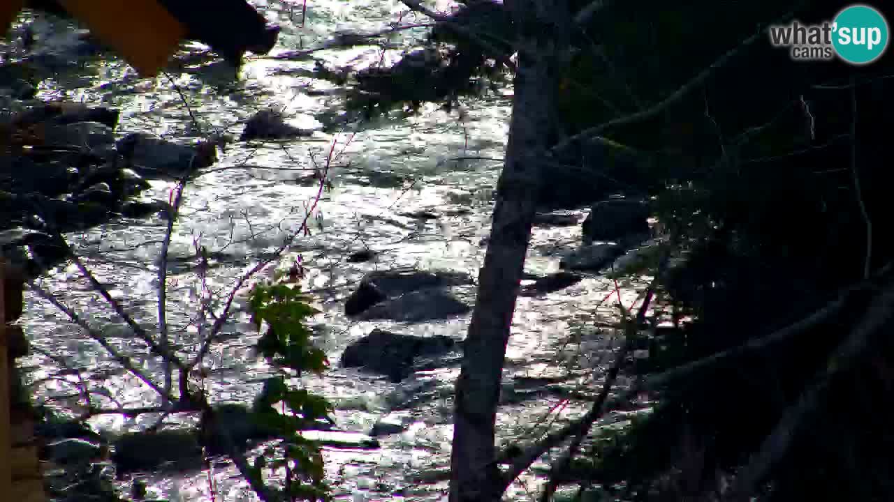 Webcam Lukanja – Water Village | Pohorje Houses