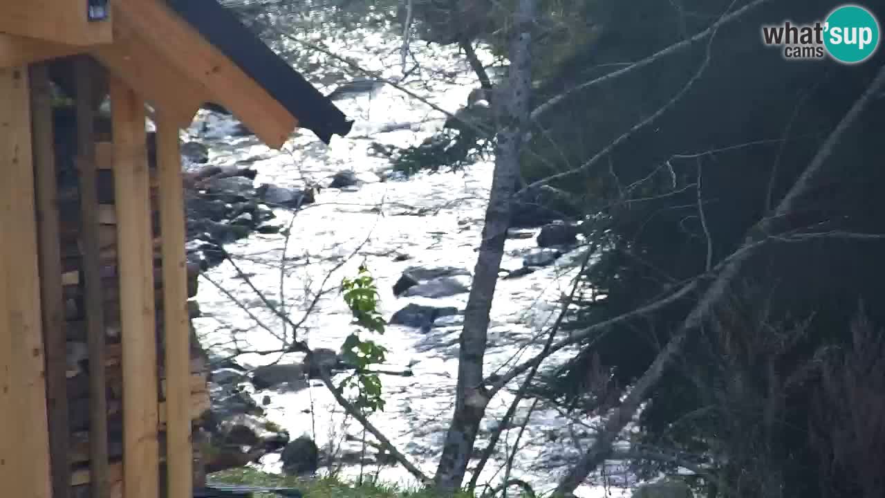 Webcam Lukanja – Water Village | Pohorje Houses