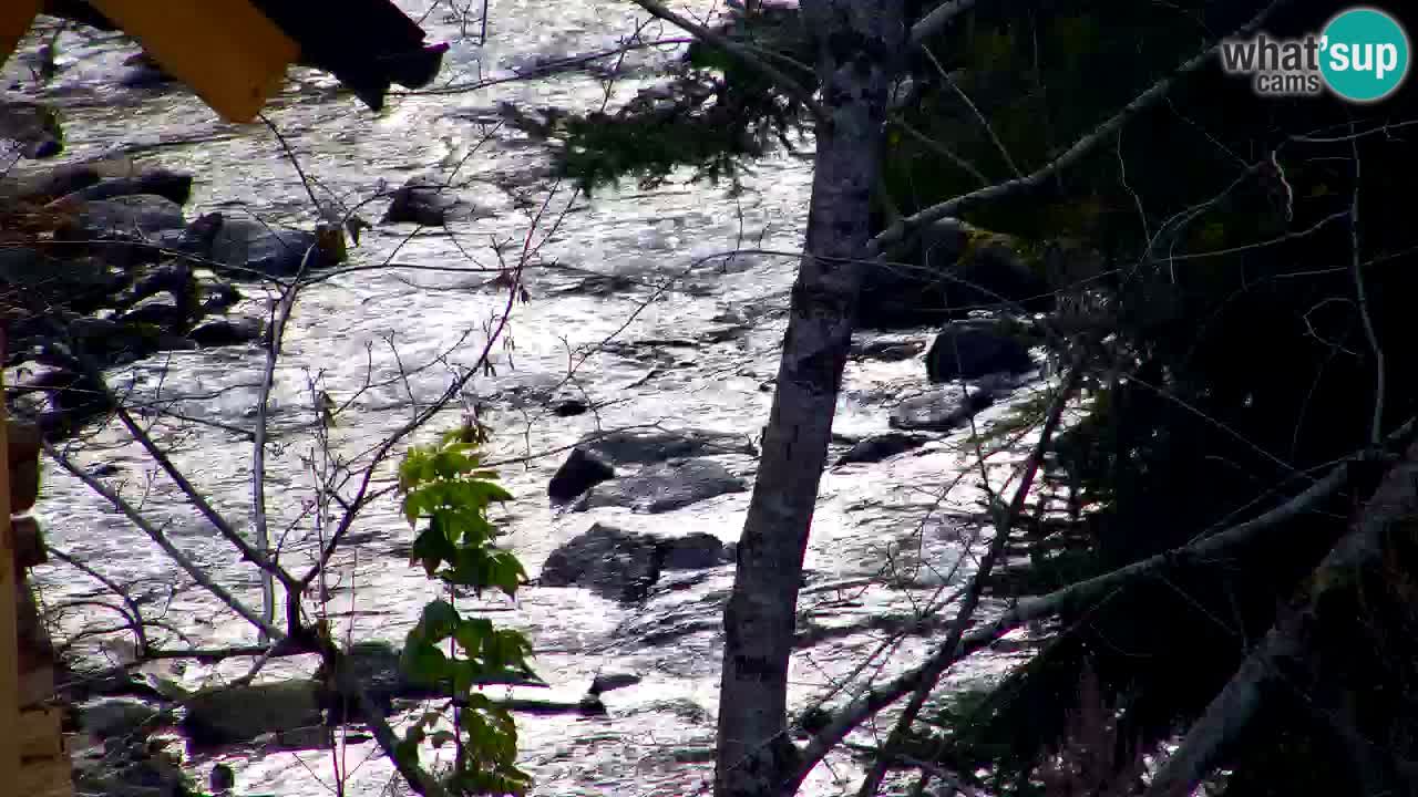 Webcam Lukanja – Water Village | Pohorje Houses