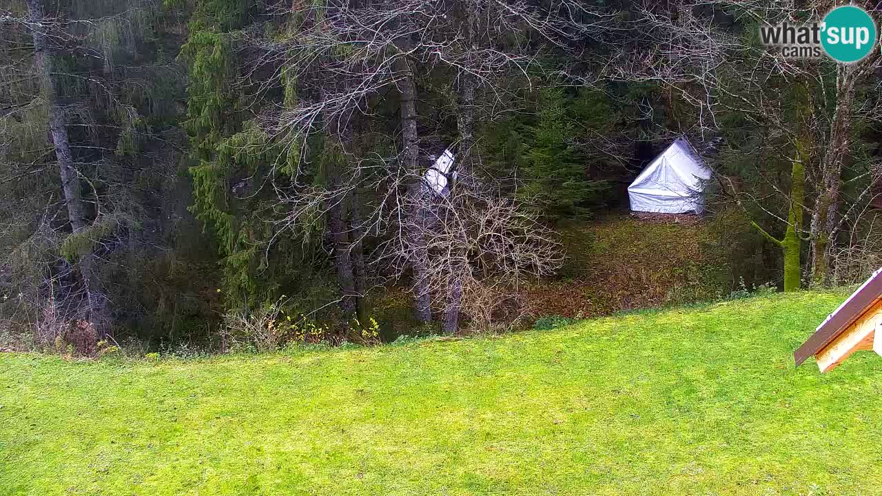 Web kamera Lukanja – Water Village | Pohorje Houses