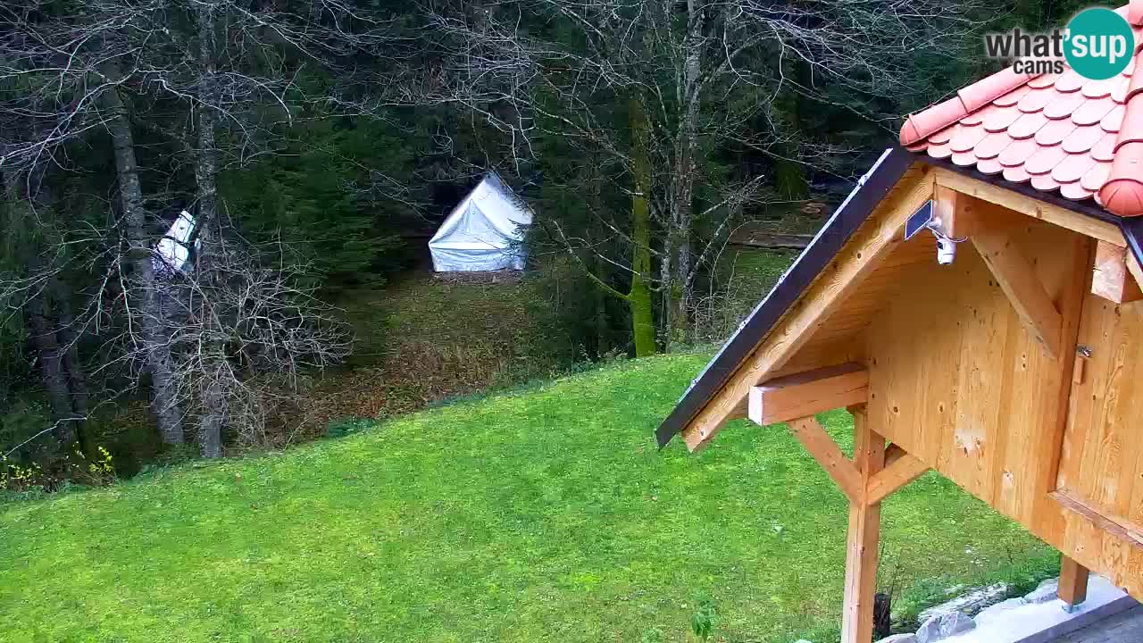 Web kamera Lukanja – Water Village | Pohorje Houses