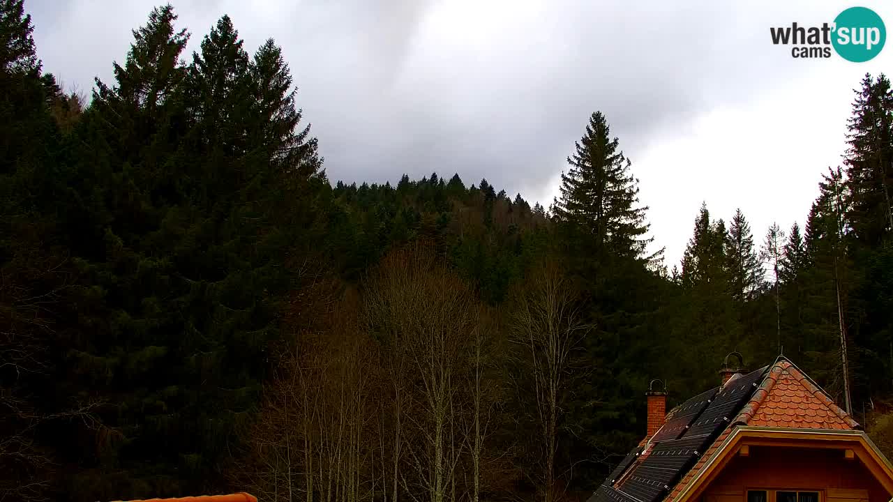 Webcam Lukanja – Water Village | Pohorje Houses