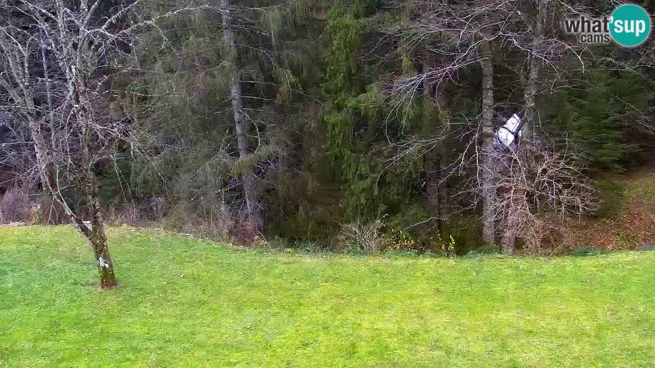 Webcam Lukanja – Water Village | Pohorje Houses