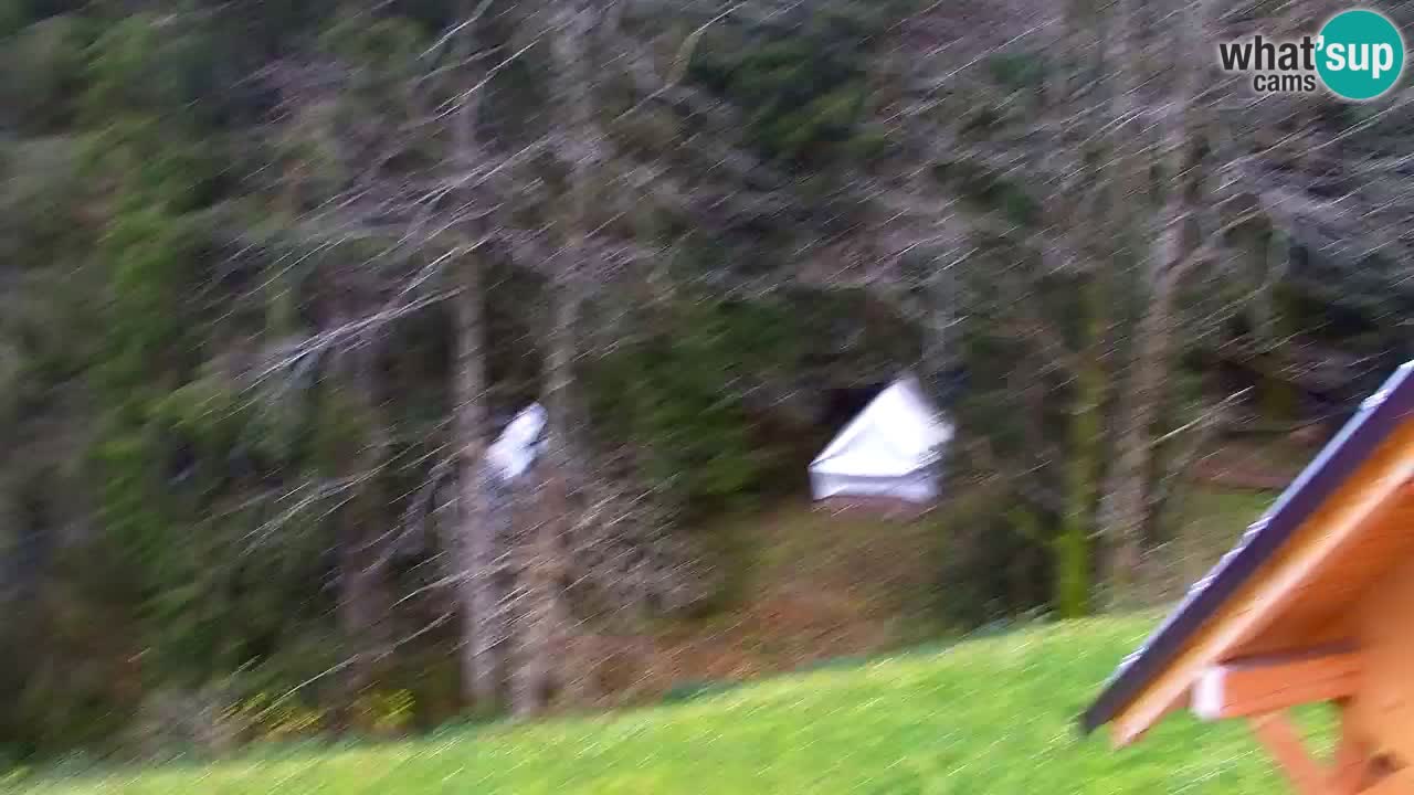 Webcam Lukanja – Water Village | Pohorje Houses