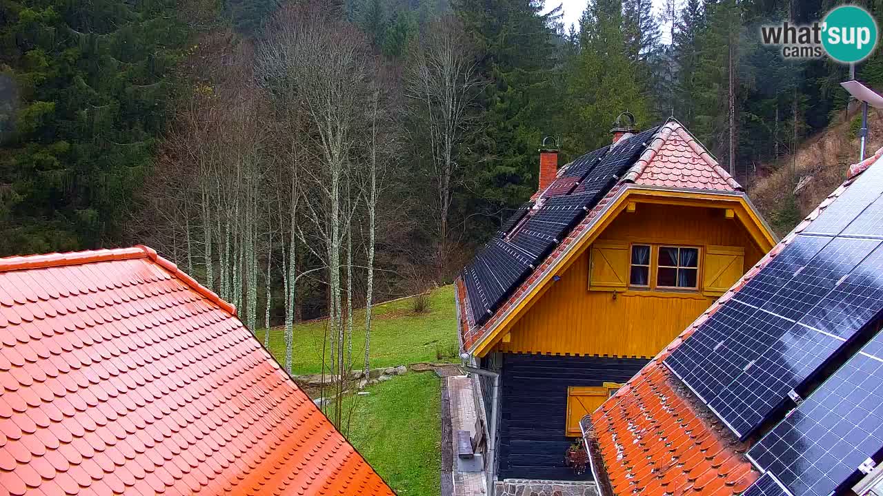 Webcam Lukanja – Water Village | Pohorje Houses