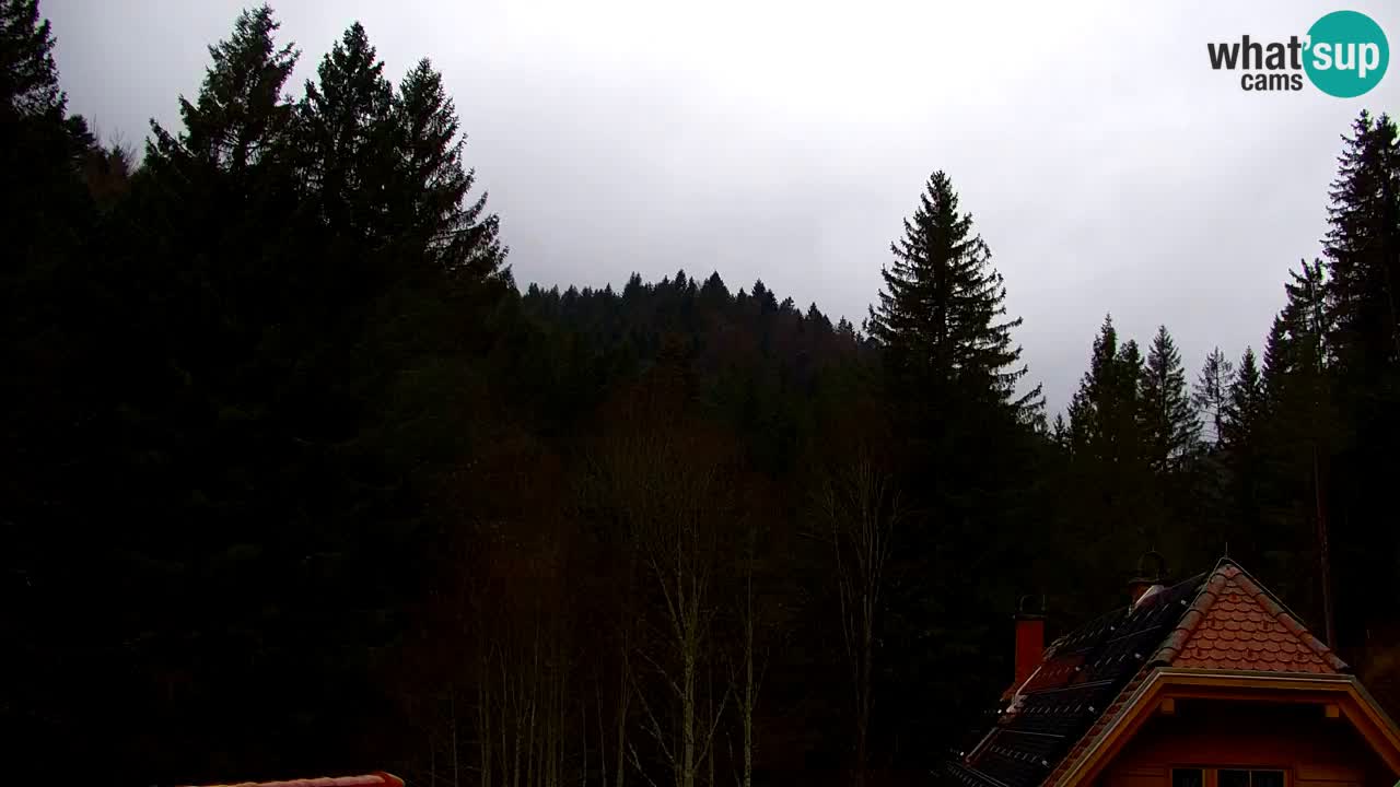 Webcam Lukanja – Pohorje houses a Water village