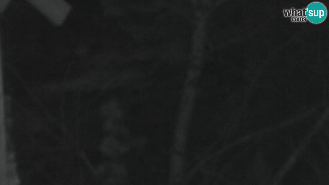 Webcam Lukanja – Water Village | Pohorje Houses