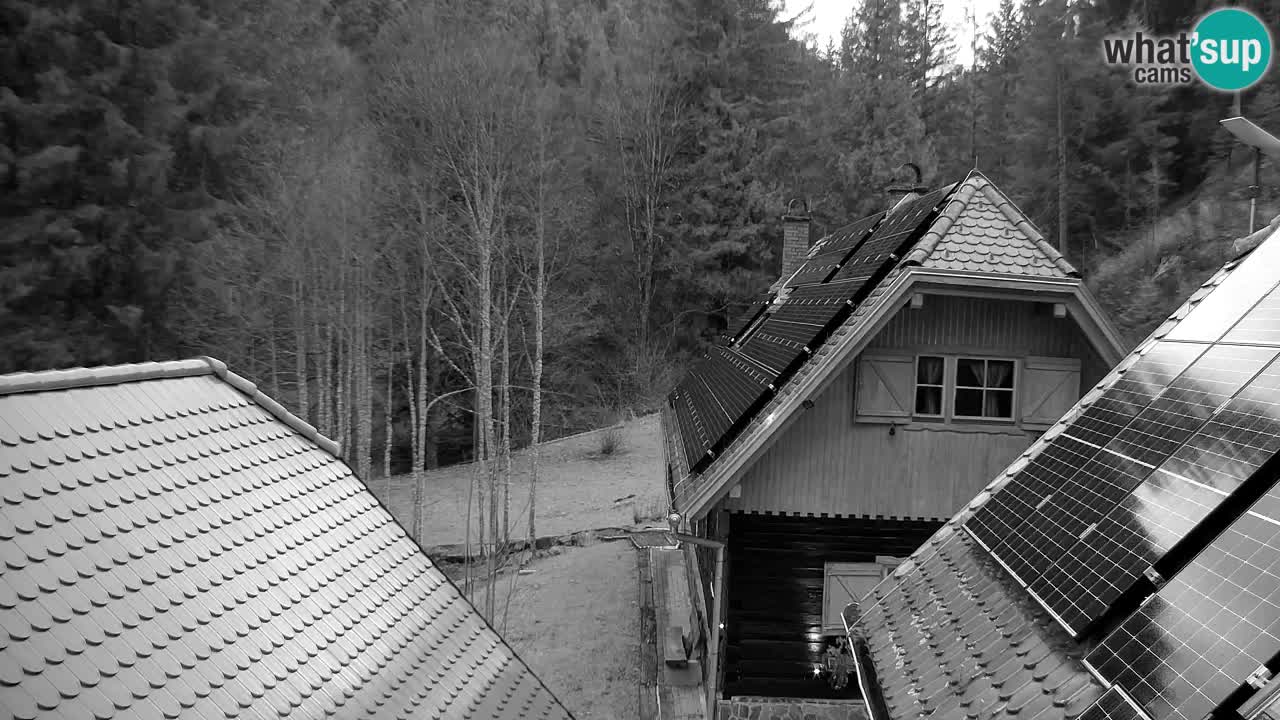 Web kamera Lukanja – Water Village | Pohorje Houses