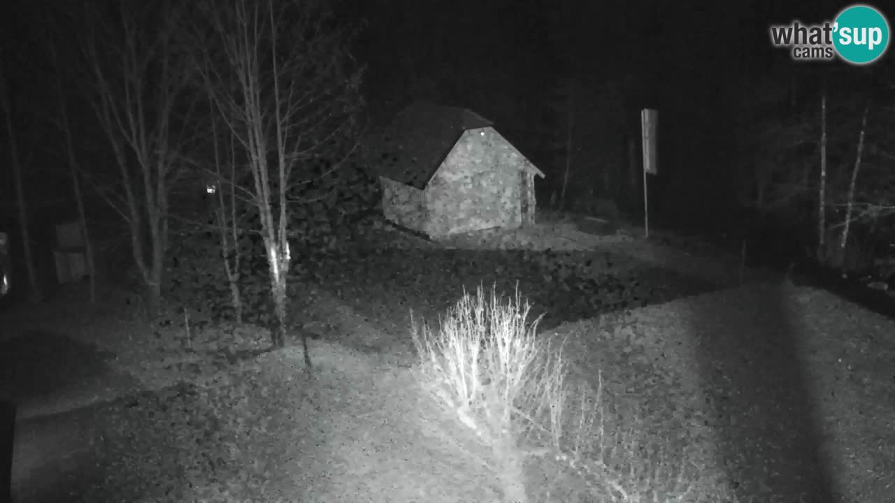 Webcam Lukanja – Water Village | Pohorje Houses