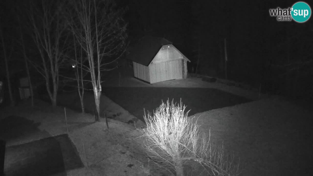 Spletna kamera Lukanja – Water Village | Pohorje Houses