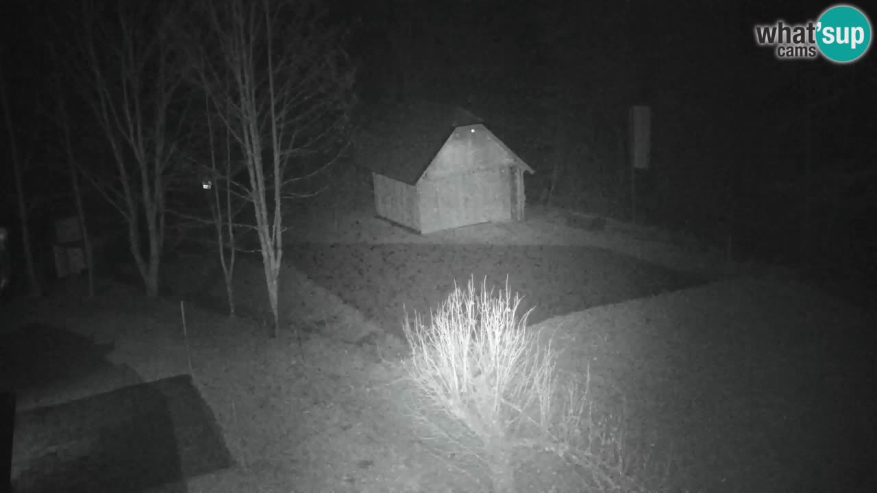 Webcam Lukanja – Pohorje houses a Water village