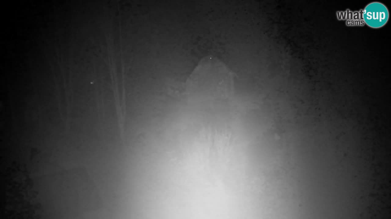 Webcam Lukanja – Water Village | Pohorje Houses