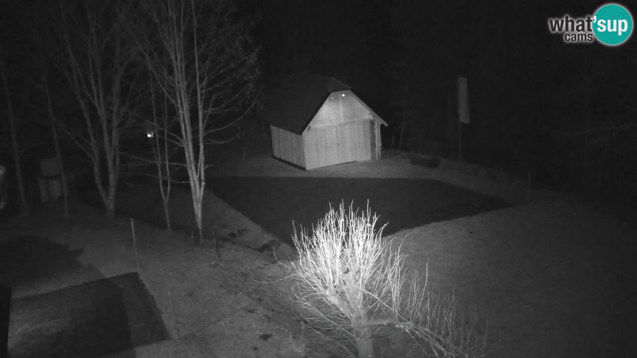 Webcam Lukanja – Water Village | Pohorje Houses