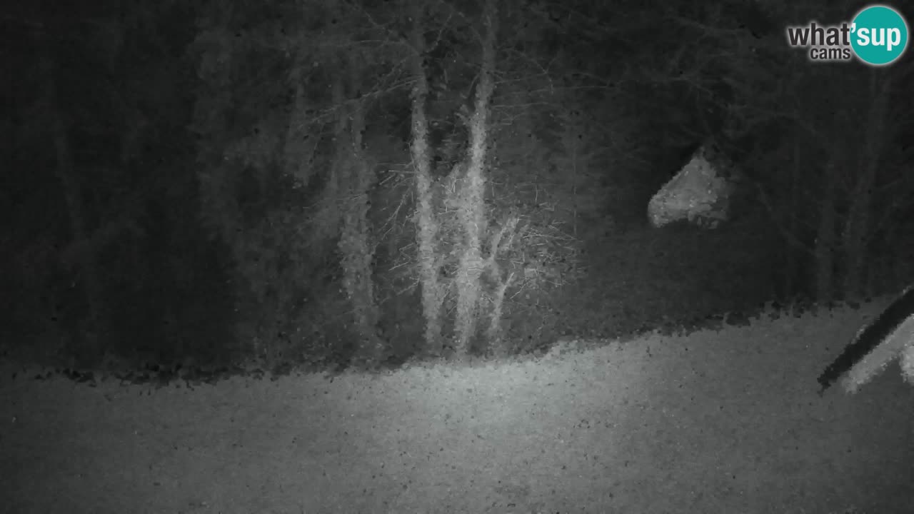 Webcam Lukanja – Water Village | Pohorje Houses