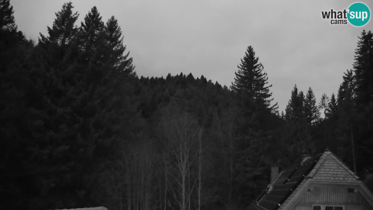 Webcam Lukanja – Water Village | Pohorje Houses