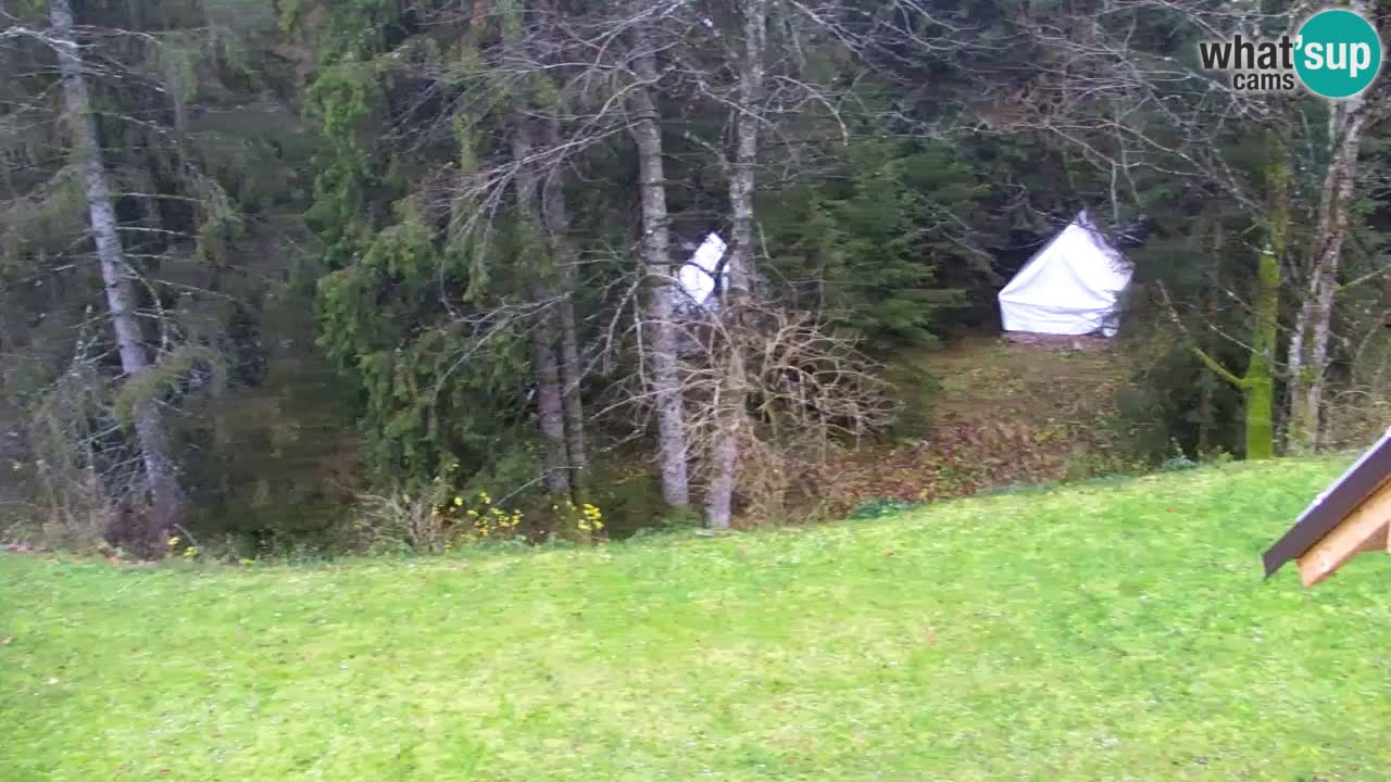 Webcam Lukanja – Water Village | Pohorje Houses