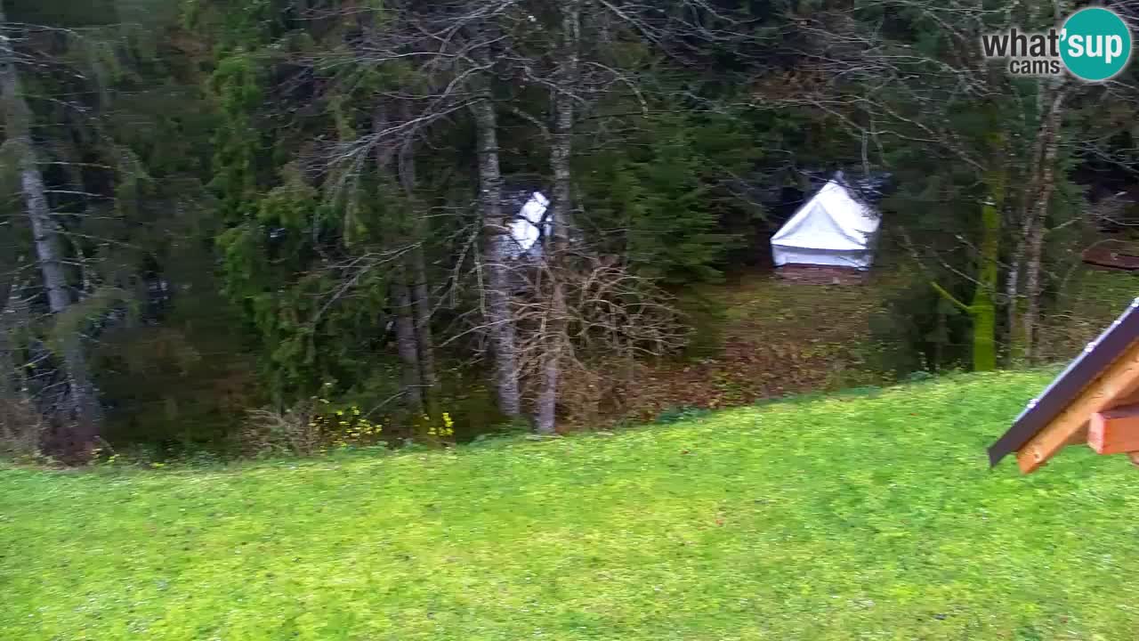 Webcam Lukanja – Water Village | Pohorje Houses