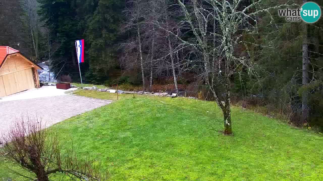 Webcam Lukanja – Water Village | Pohorje Houses