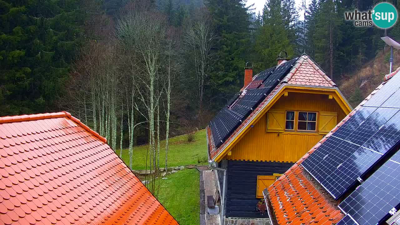 Webcam Lukanja – Water Village | Pohorje Houses