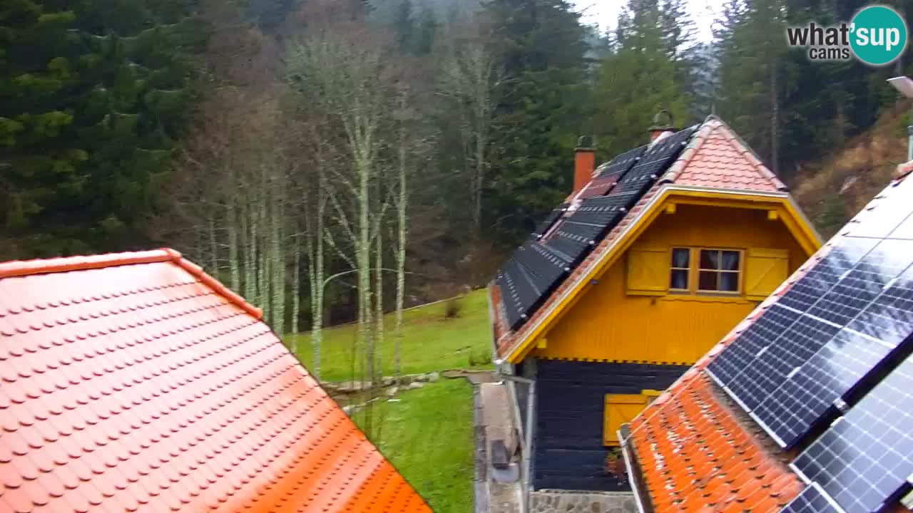 Webcam Lukanja – Water Village | Pohorje Houses