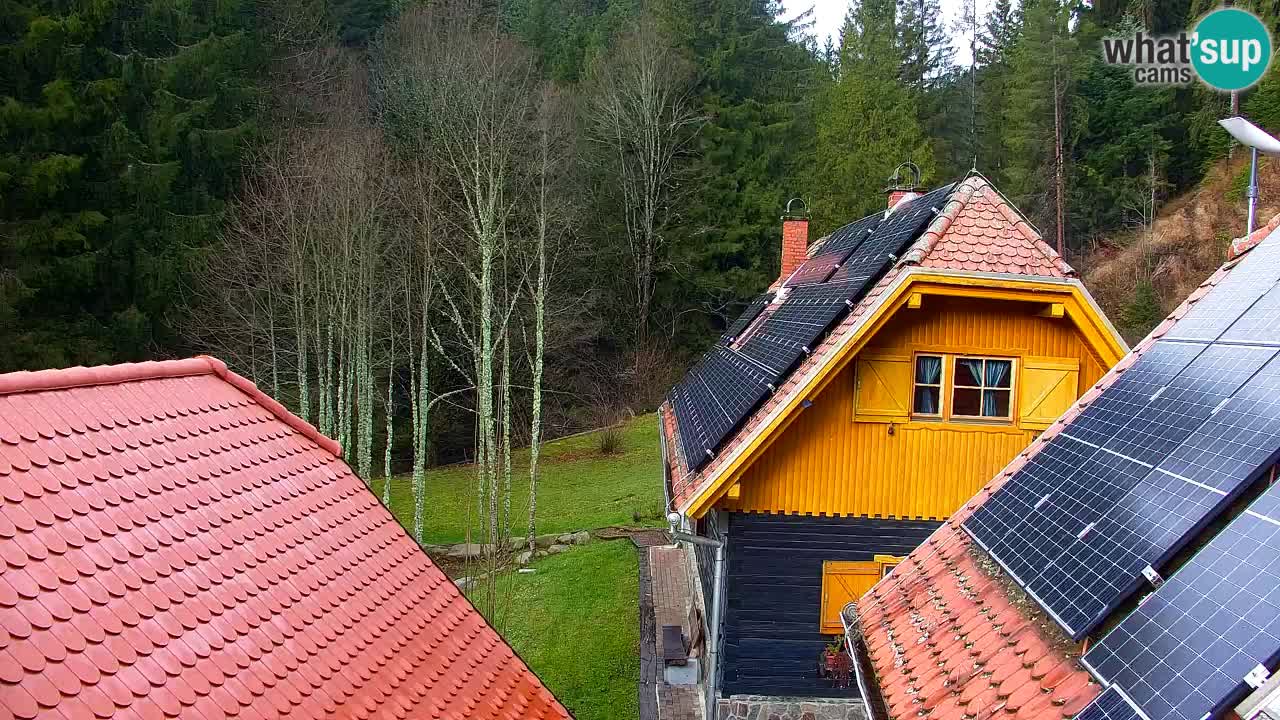 Web kamera Lukanja – Water Village | Pohorje Houses