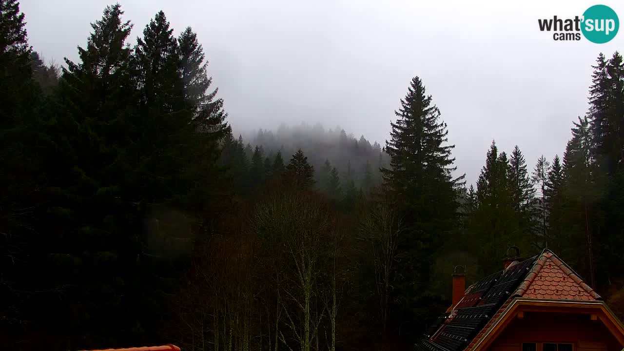 Webcam Lukanja – Water Village | Pohorje Houses