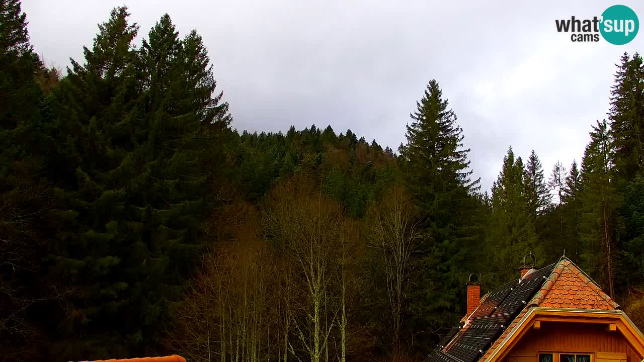 Webcam Lukanja – Water Village | Pohorje Houses