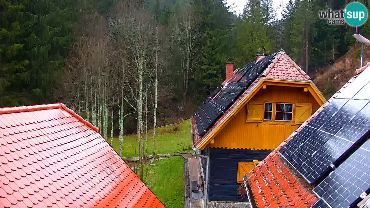 Webcam Lukanja – Water Village | Pohorje Houses