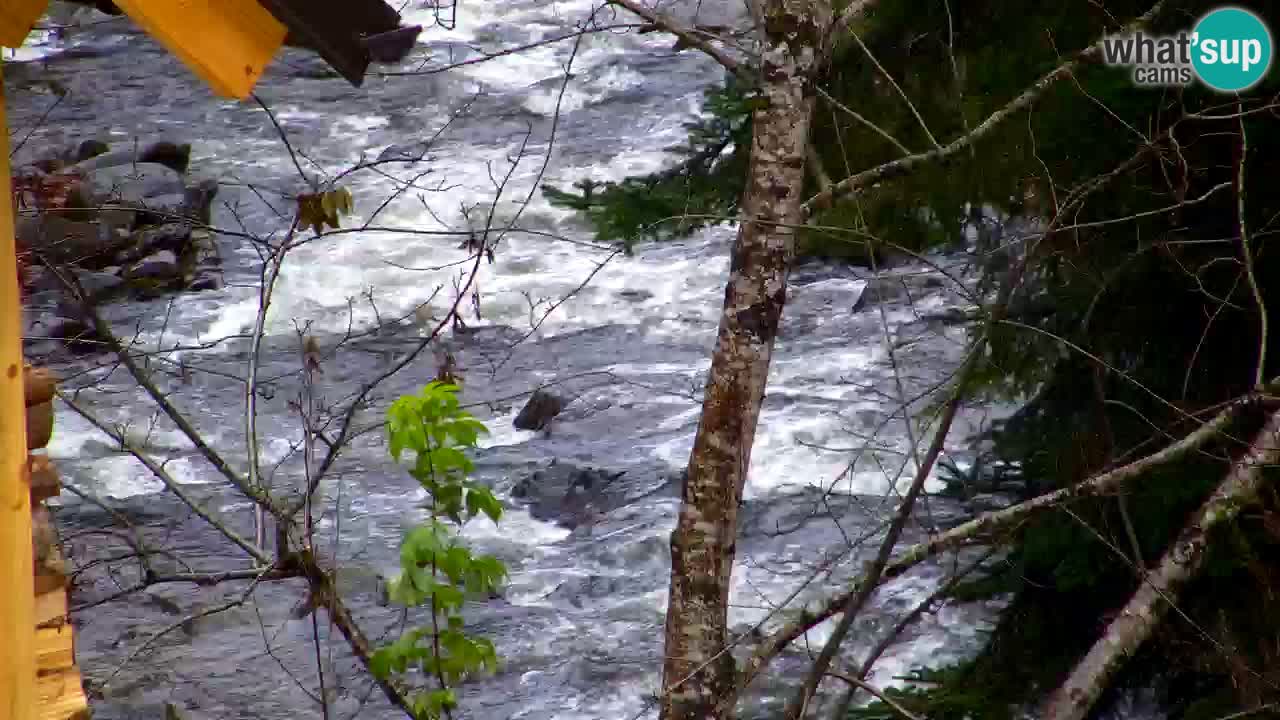 Webcam Lukanja – Pohorje houses a Water village