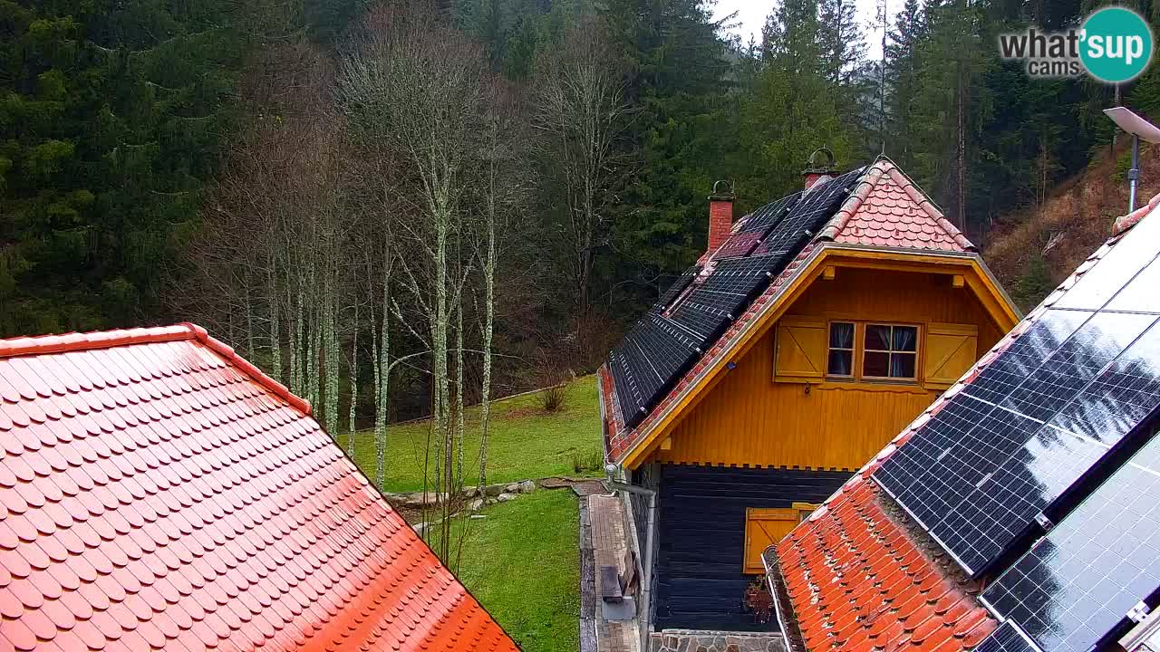 Webcam Lukanja – Water Village | Pohorje Houses