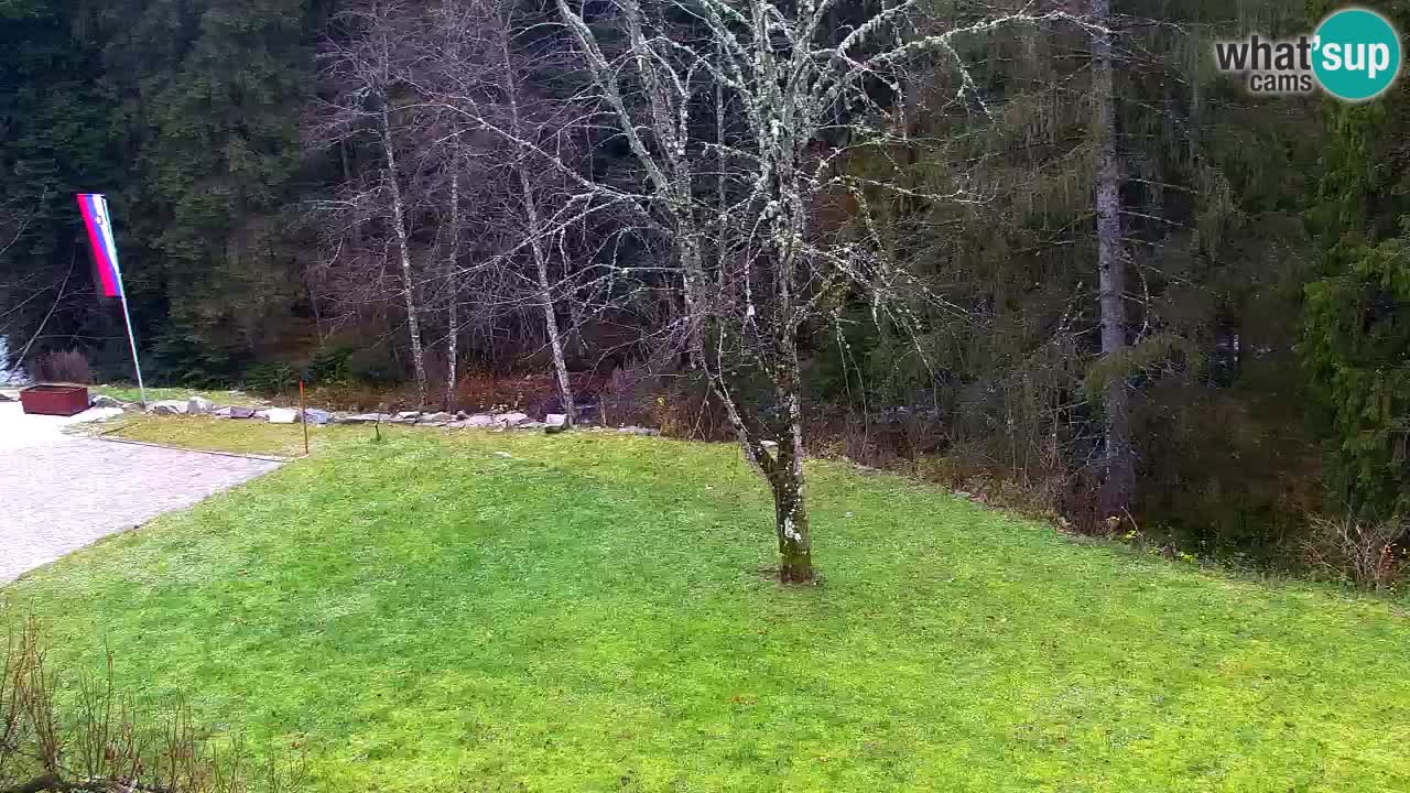 Webcam Lukanja – Pohorje houses a Water village