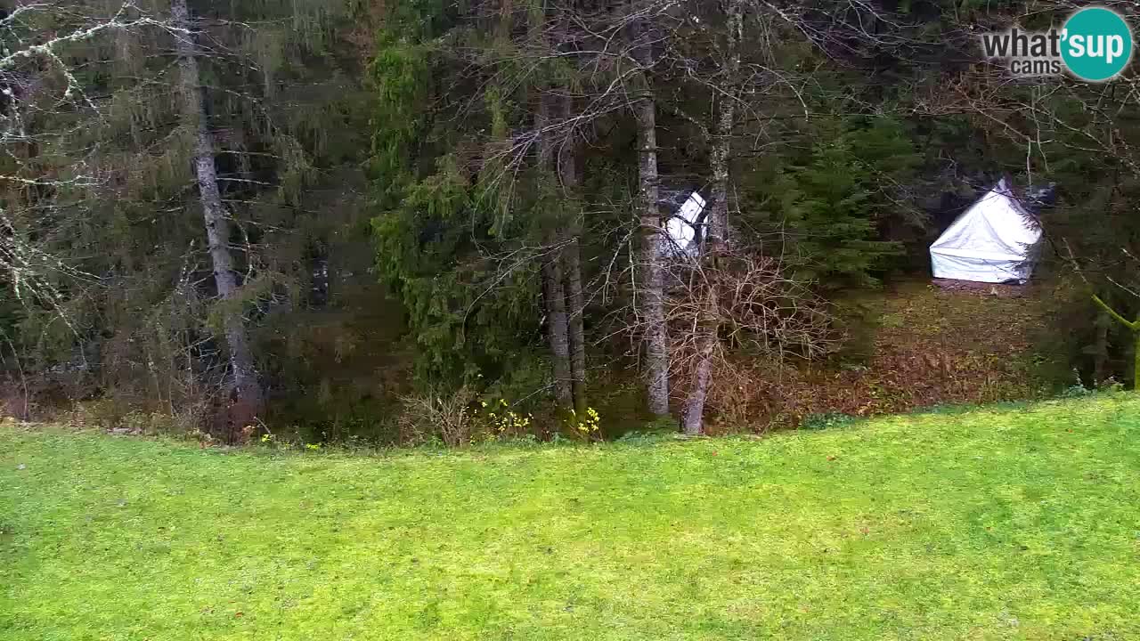 Spletna kamera Lukanja – Water Village | Pohorje Houses