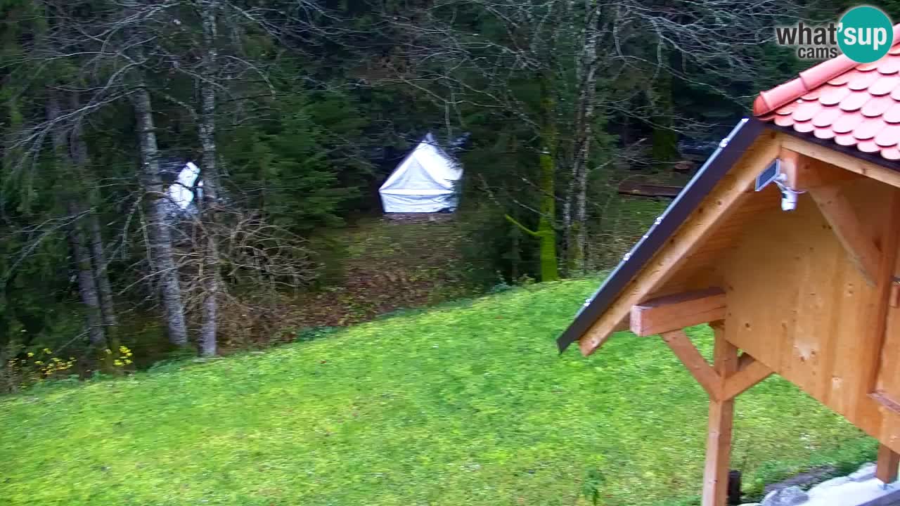 Web kamera Lukanja – Water Village | Pohorje Houses