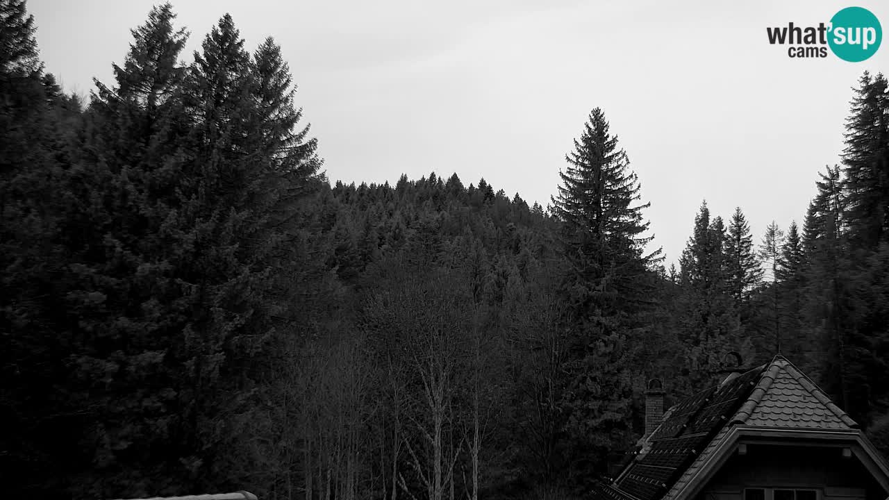 Webcam Lukanja – Water Village | Pohorje Houses