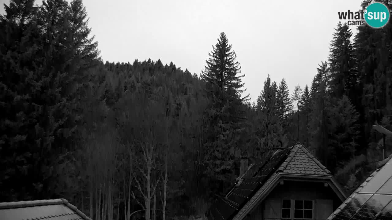 Webcam Lukanja – Water Village | Pohorje Houses