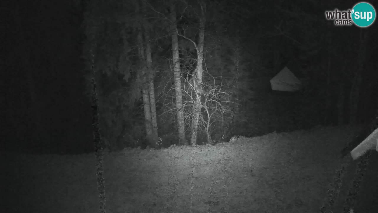 Web kamera Lukanja – Water Village | Pohorje Houses