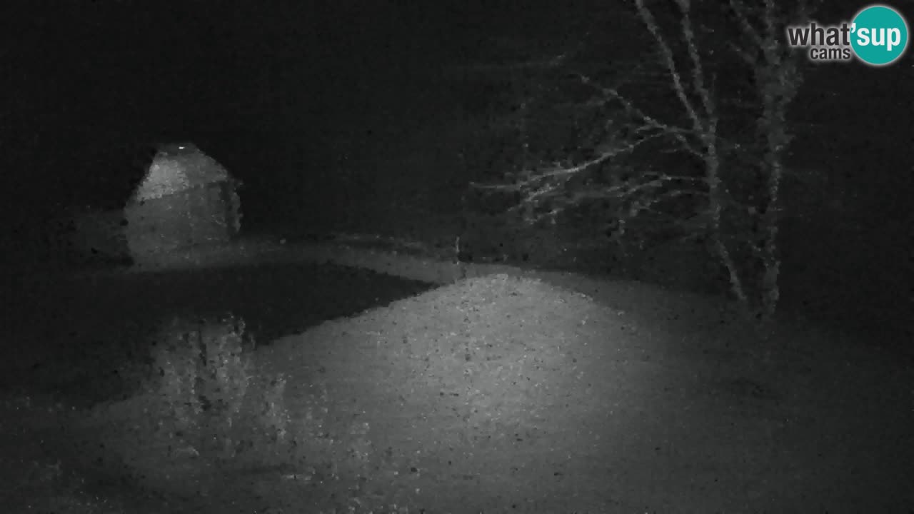 Web kamera Lukanja – Water Village | Pohorje Houses