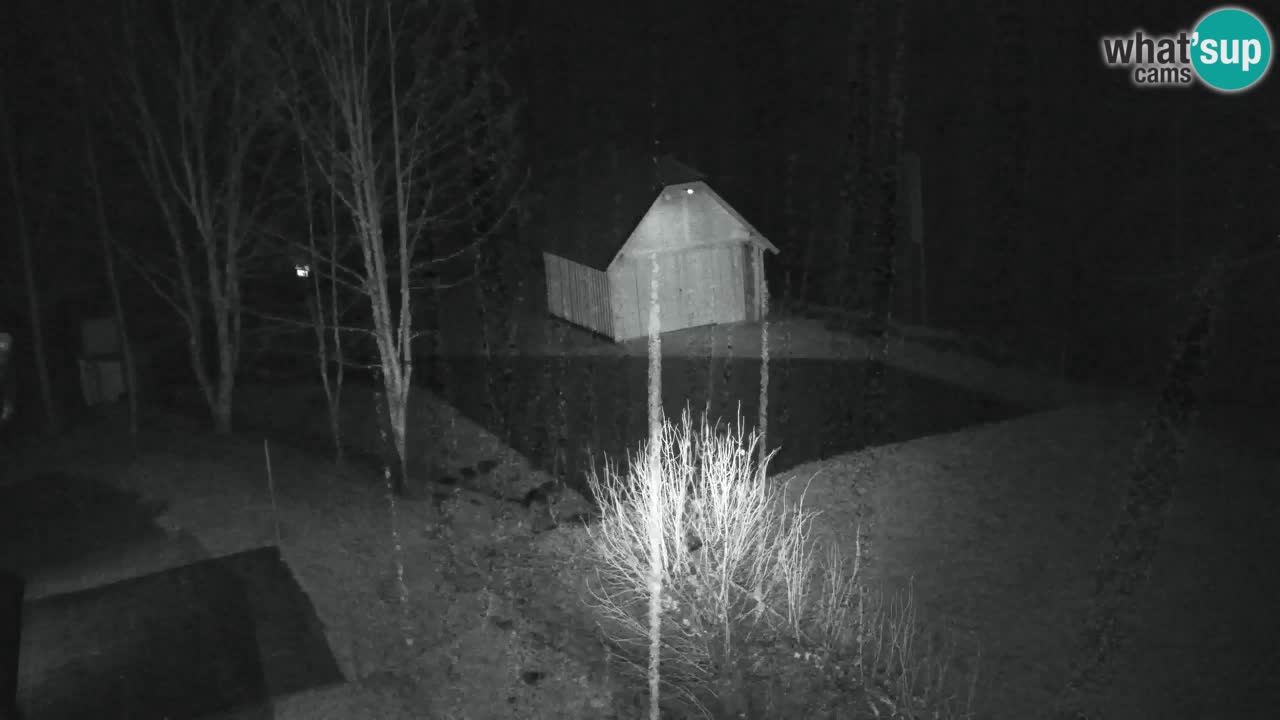 Webcam Lukanja – Pohorje houses a Water village