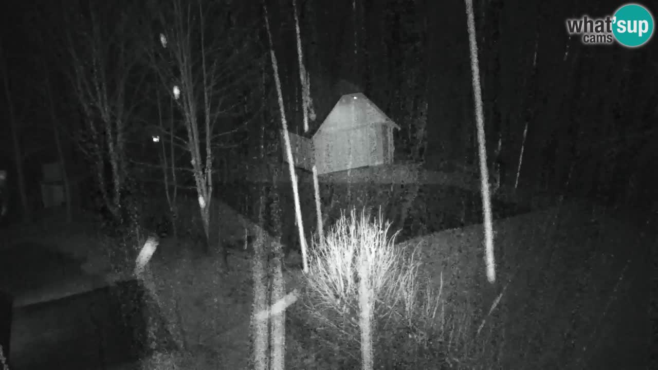 Webcam Lukanja – Pohorje houses a Water village