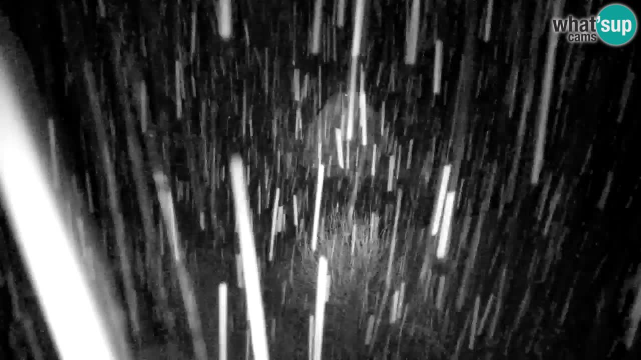 Web kamera Lukanja – Water Village | Pohorje Houses