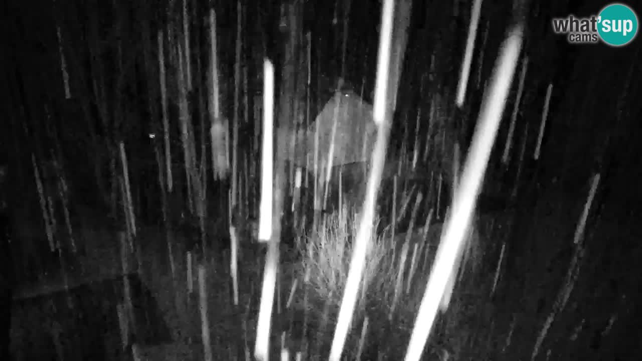 Webcam Lukanja – Water Village | Pohorje Houses