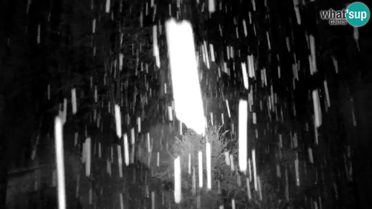 Spletna kamera Lukanja – Water Village | Pohorje Houses