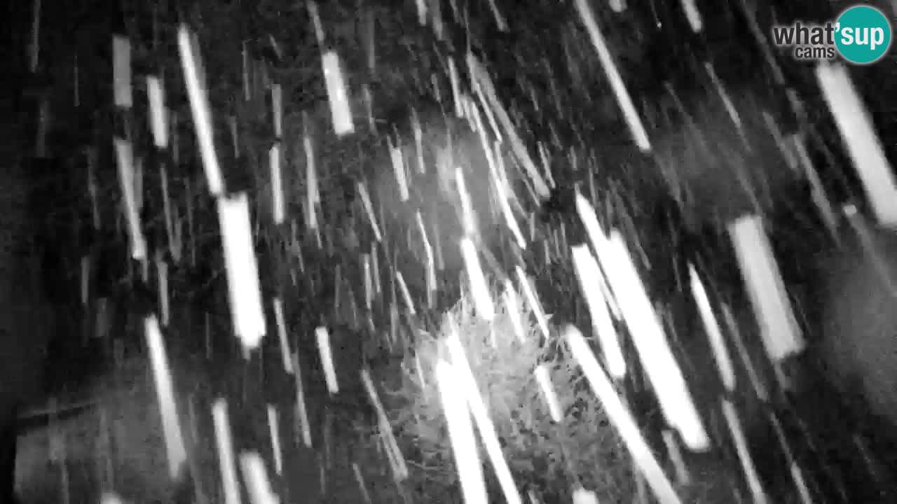 Webcam Lukanja – Water Village | Pohorje Houses