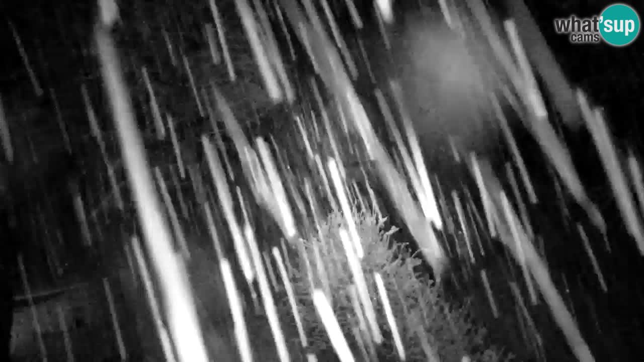 Webcam Lukanja – Pohorje houses a Water village