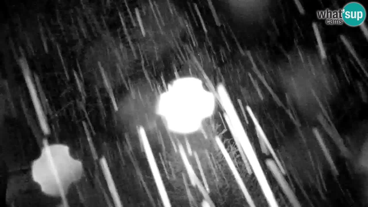 Web kamera Lukanja – Water Village | Pohorje Houses