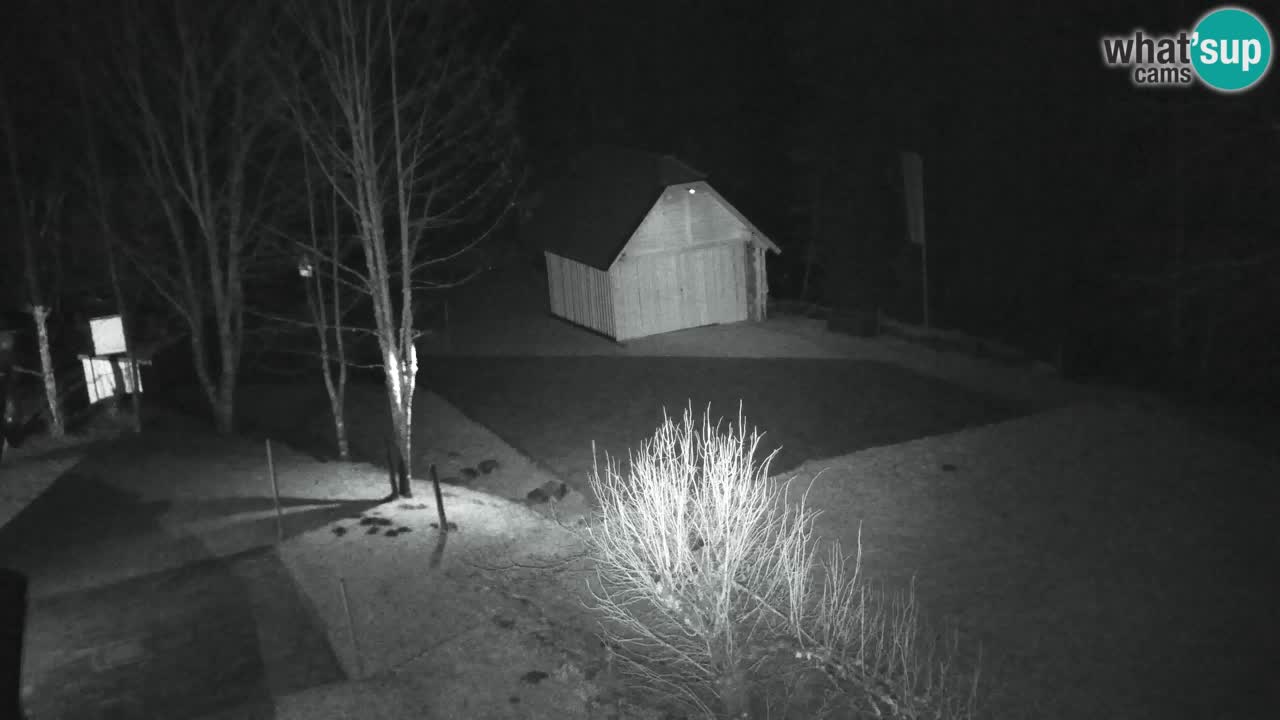 Webcam Lukanja – Water Village | Pohorje Houses