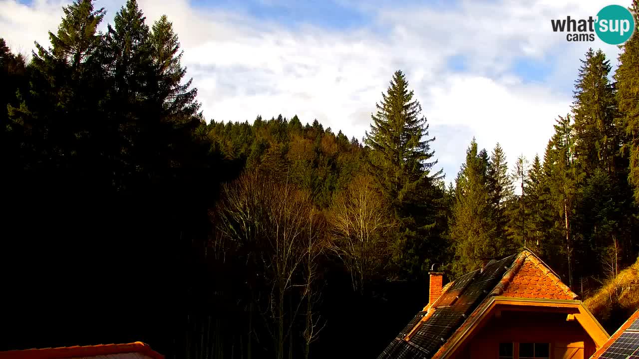 Webcam Lukanja – Water Village | Pohorje Houses