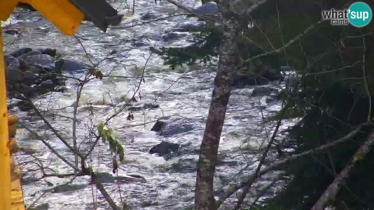 Webcam Lukanja – Water Village | Pohorje Houses