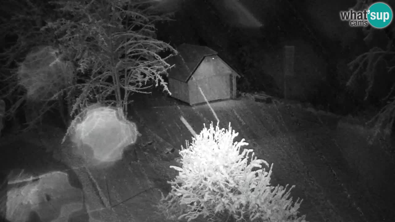 Web kamera Lukanja – Water Village | Pohorje Houses